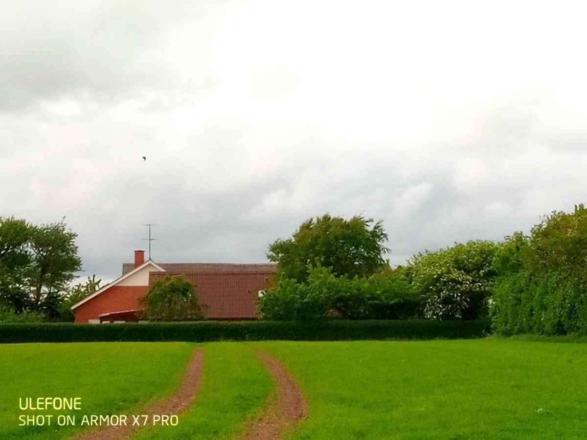Lilleledgaard Country House Ringkobing Exterior photo